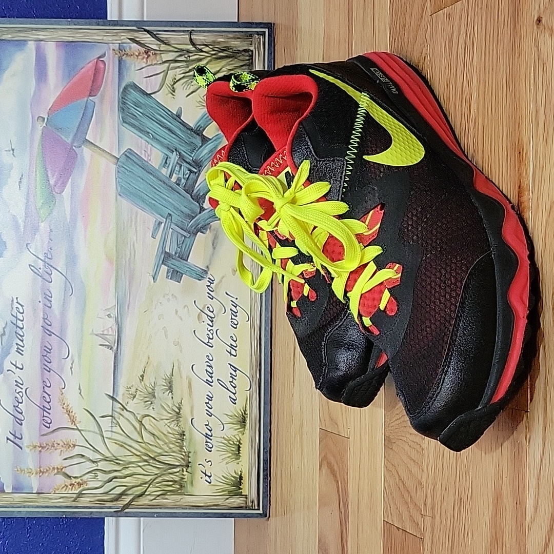 493 Nike Shoes